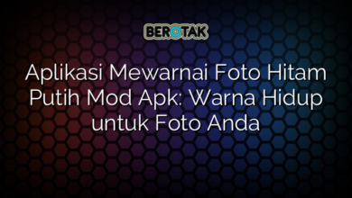 Aplikasi Mewarnai Foto Hitam Putih Mod Apk Warna Hidup Untuk Foto Anda