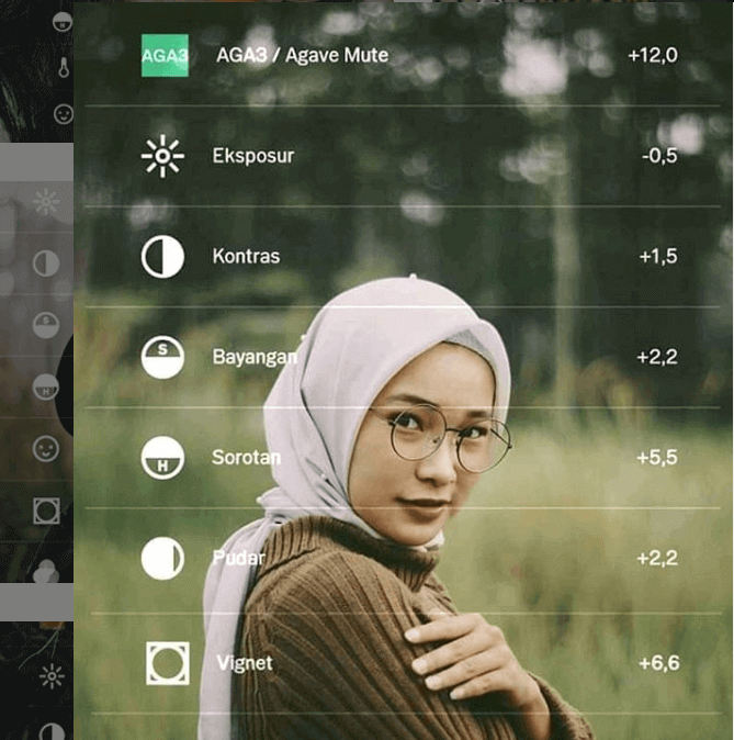 Rumus VSCO Selebgram 18