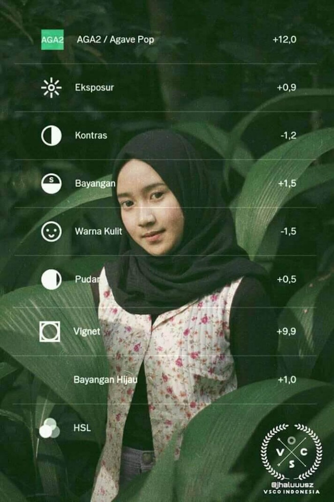 Rumus VSCO Selebgram 15