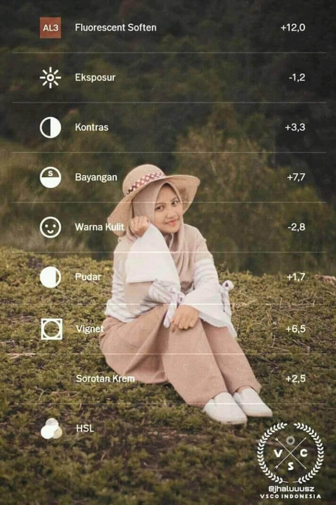 Rumus VSCO Selebgram 16