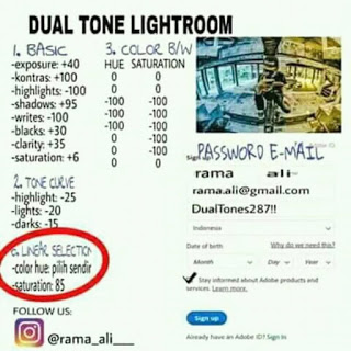 Rumus Adobe Lightroom Dual Tone 2