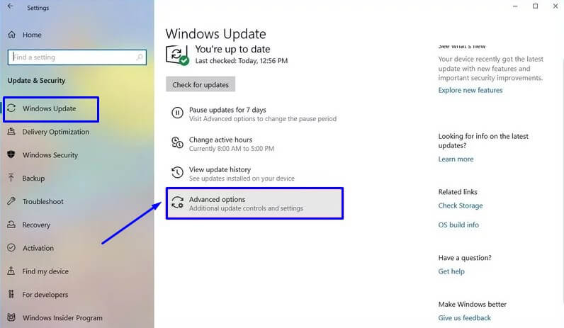 Pilih Advanced options di Windows Update