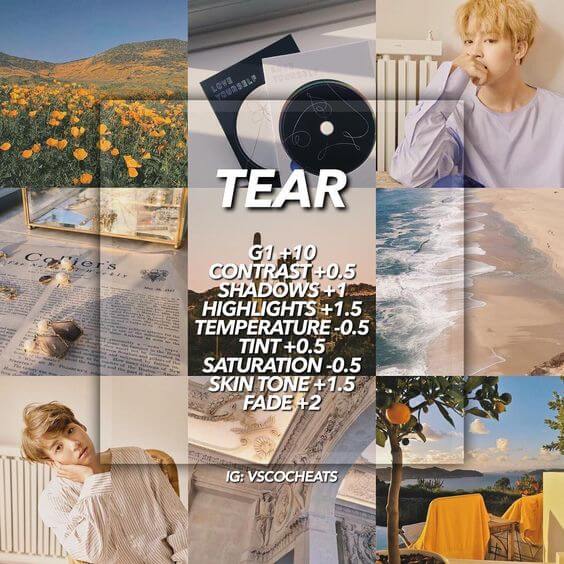 2 Preset VSCO Aesthetic Tear