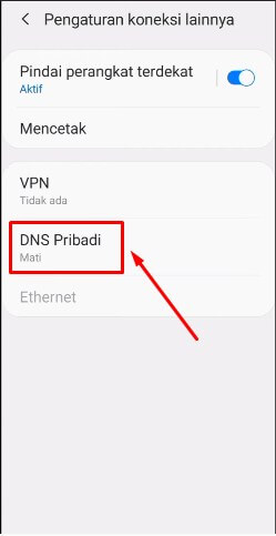 4. Pilih Private DNS