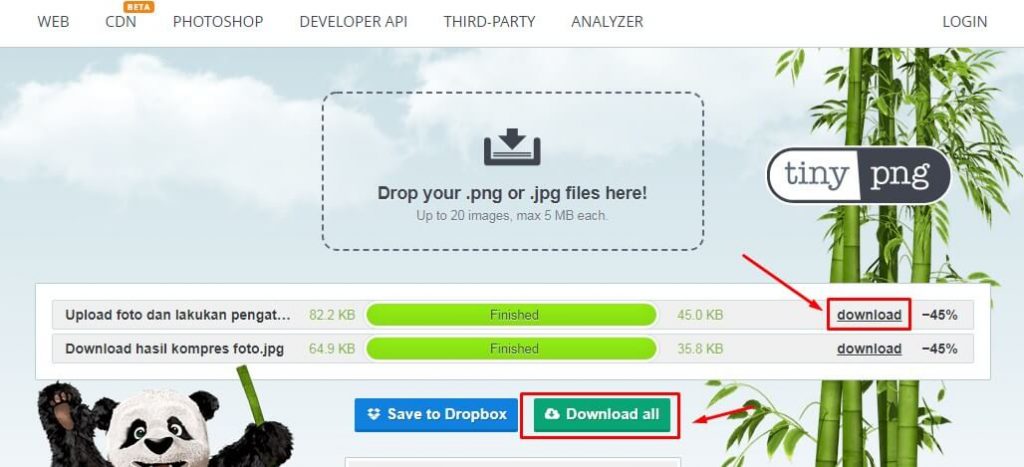 Cara Mengecilkan Ukuran Foto di HP Secara Online lewat TinyPNG
