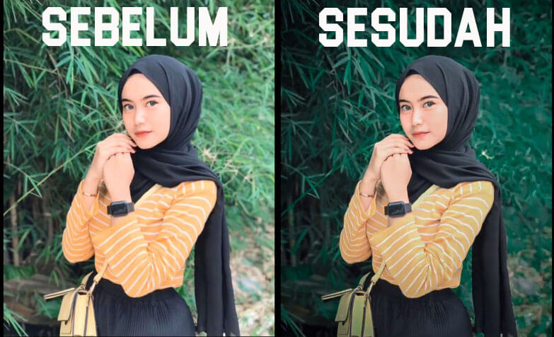 Sebelum dan Sesudah menggunakan Filter Rumus Lightroom Dark Green Terbaru 2021