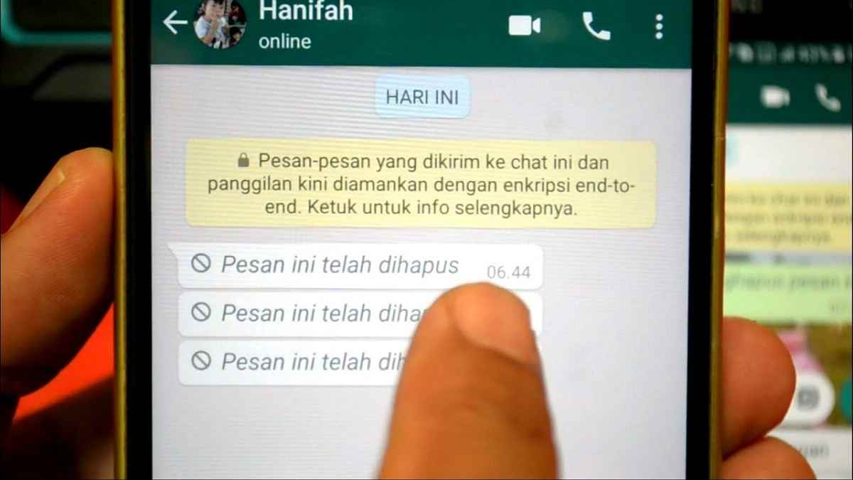 Cara Melihat Pesan WA Yang Sudah Dihapus Oleh Pengirim Tanpa Aplikasi Pihak Ketiga