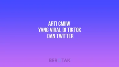 Arti CMIIW yang Viral di TikTok