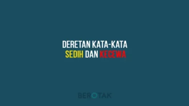 Deretan Kata-kata Sedih dan Kecewa