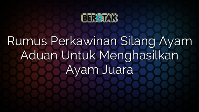 Rumus Perkawinan Silang Ayam Aduan Untuk Menghasilkan Ayam Juara