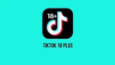 aplikasi TikTok 18 plus