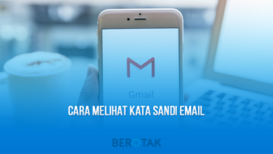 cara melihat kata sandi email