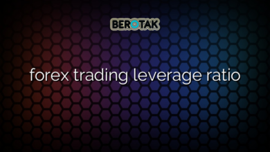 forex trading leverage ratio