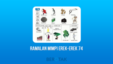 ramalan mimpi erek-erek 74