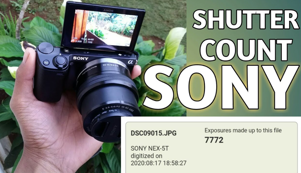 shutter count sony