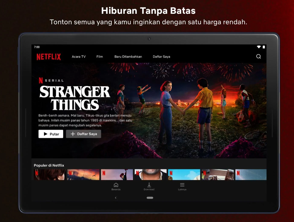 streaming sepuasnya di netflix